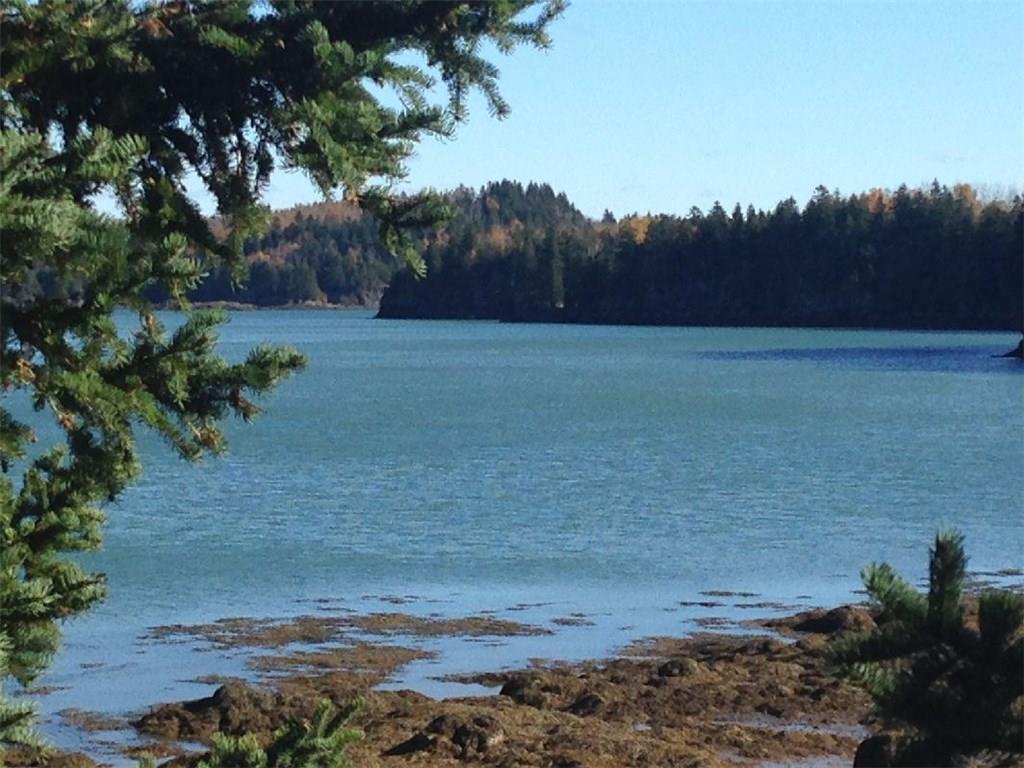 301 Lead Mine Road Lubec, ME 04652 - Photo 4 of 10 Waterfront