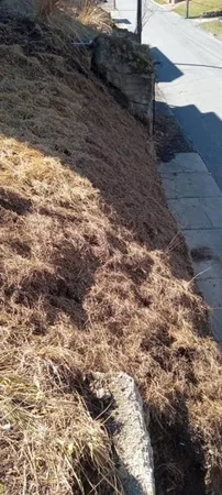 a view of outdoor space