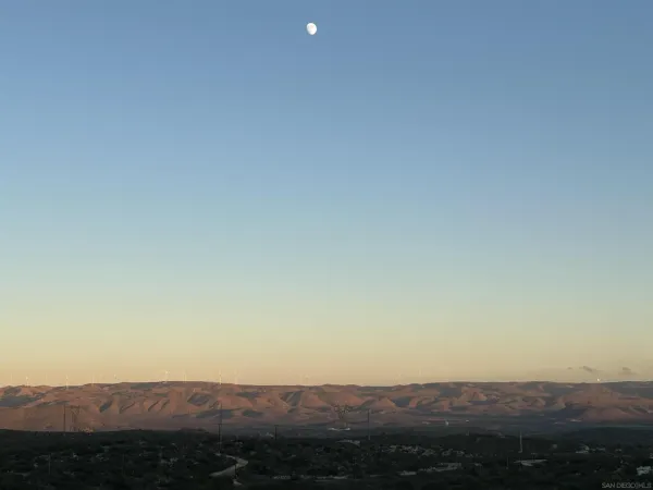 a view of a dry yard