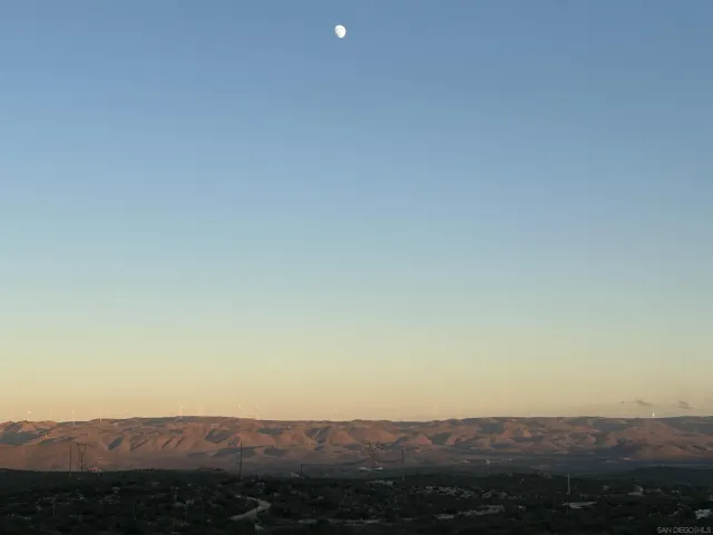 a view of a dry yard