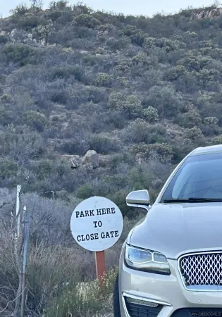 a view of a dry yard with green space