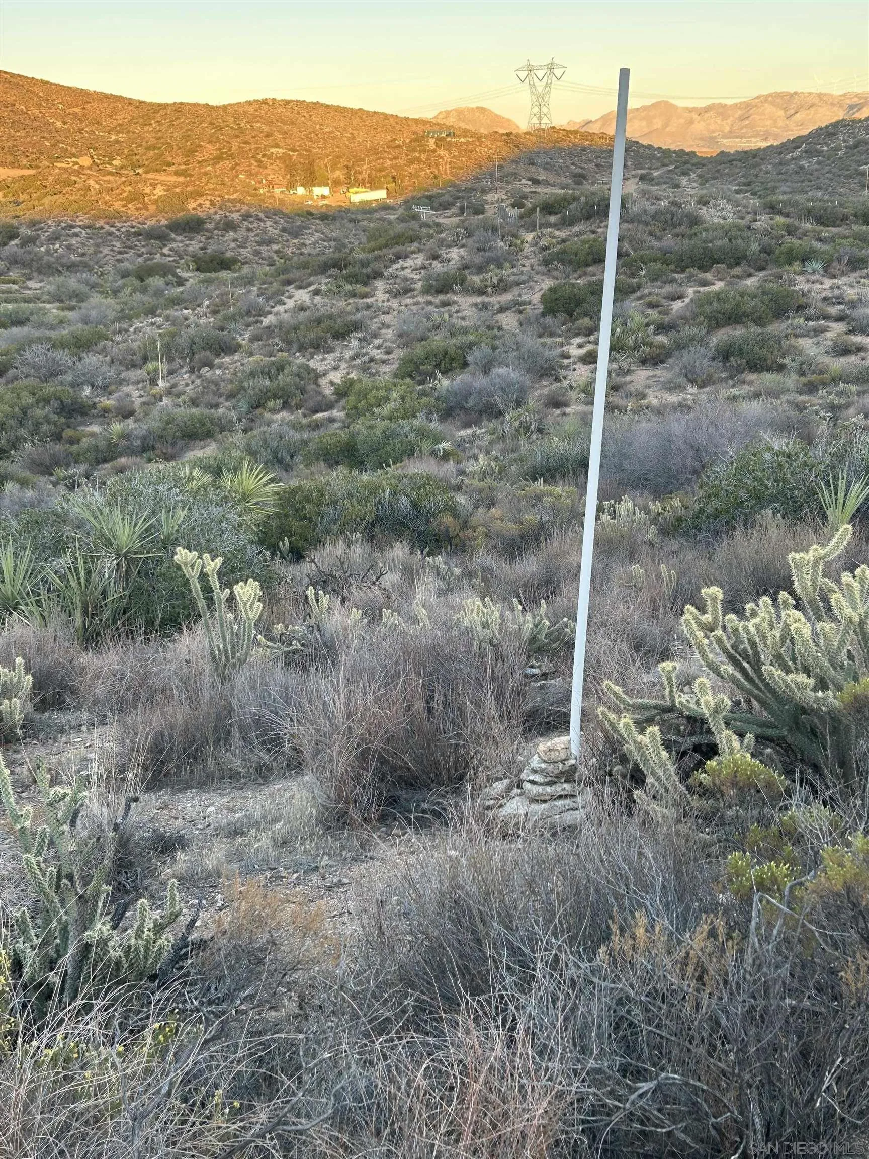 0 Old Highway, Unit 7 Jacumba, CA 91934 - Photo 6 of 19 a view of a forest with a tree