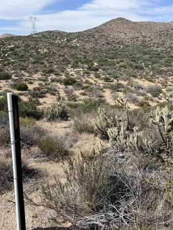 a view of a city with tall buildings in middle of green field