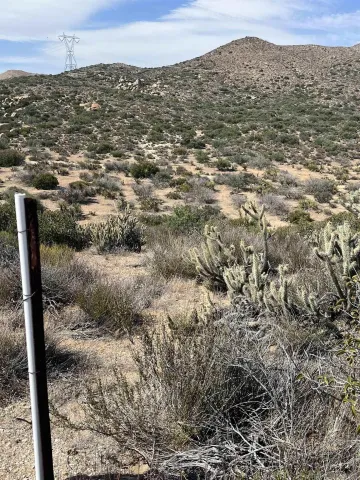 a view of a city with tall buildings in middle of green field