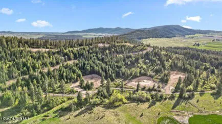 $199,999 | Lot 3 Lone Moose Drive, Plummer, ID 83851