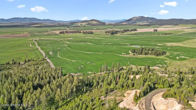 $199,999 | Lot 3 Lone Moose Drive, Plummer, ID 83851