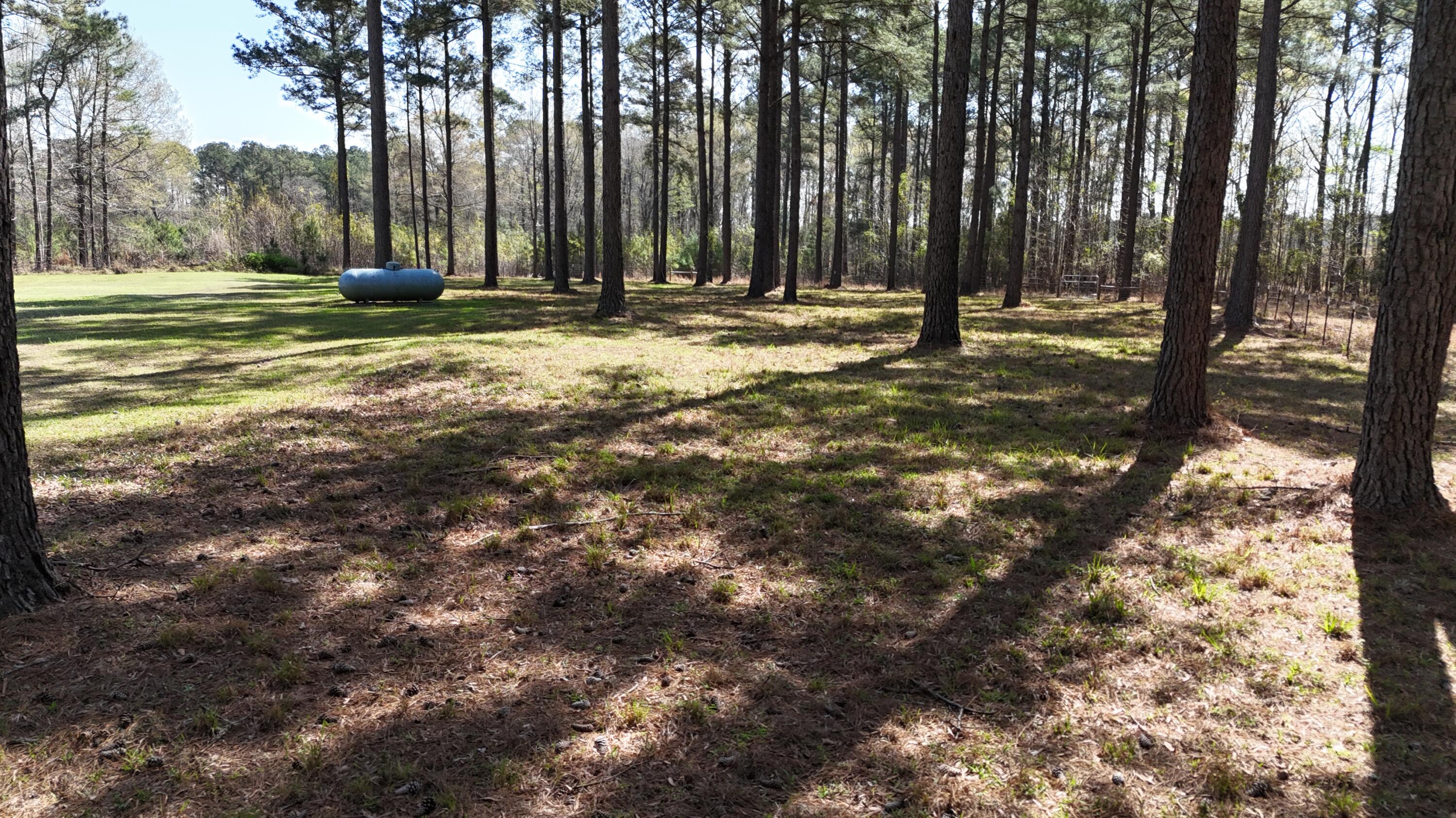1995 Sam Nexsen Road Summerton, SC 29148 - Photo 66 of 110