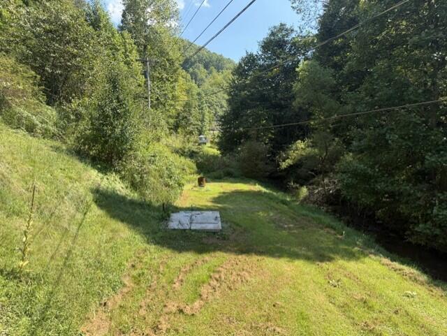1454 Clifton Frk Road Raven, VA 24639 - Photo 15 of 28 Gallery Image 15