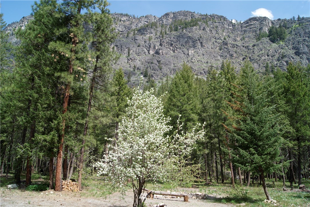 272 B Lost River Road Mazama, WA 98833 - Photo 3 of 25 Gallery Image 3