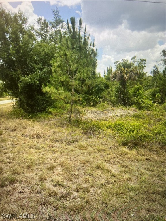 a view of a field with an trees