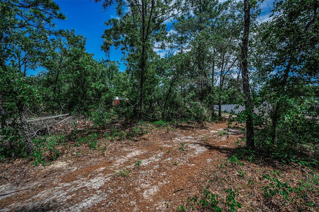 12123 Fulmar Road Weeki Wachee, FL 34614 - Photo 74 of 81