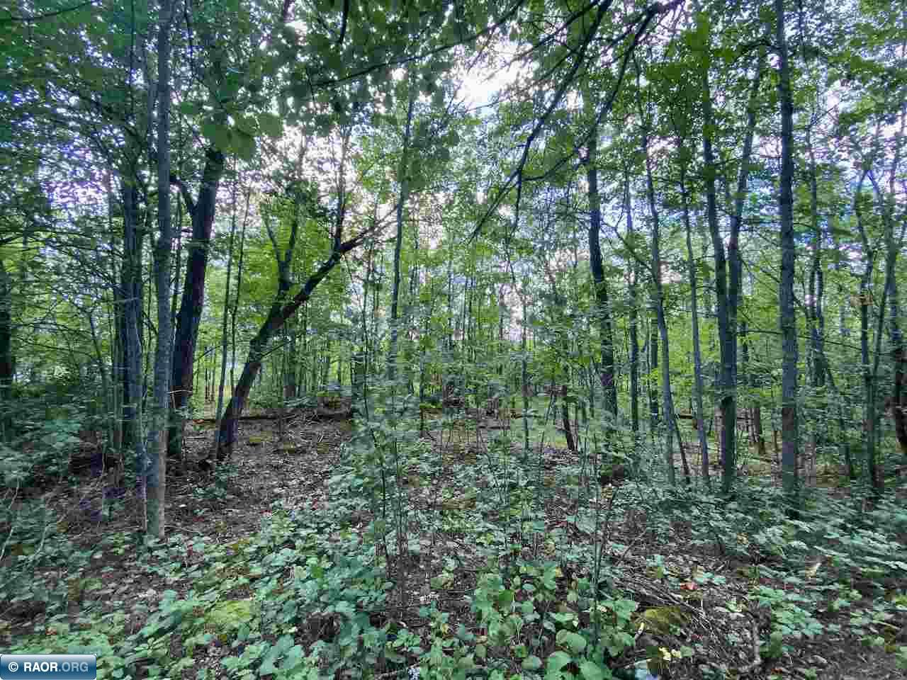 Tbd Lot 10 Wilderness Way Road Orr, MN 55771 - Photo 19 of 26 Gallery Image 19