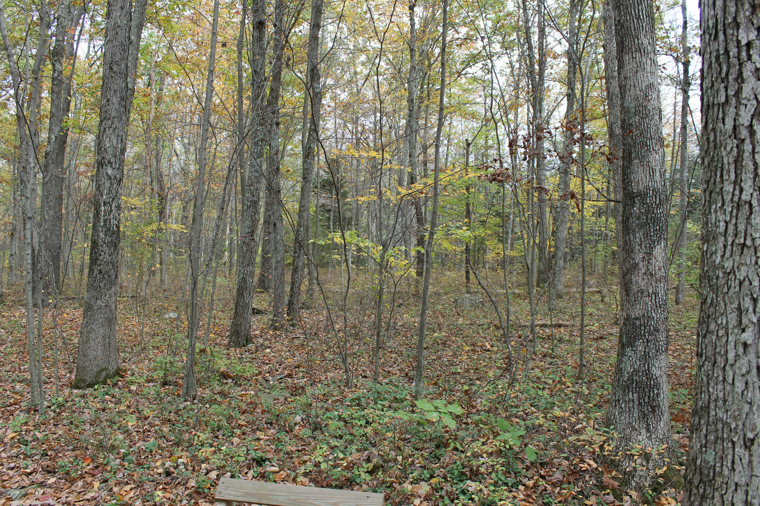 121 Outlet Road Dingmans Ferry, PA 18328 - Photo 19 of 19