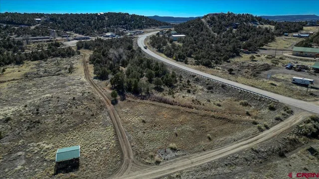 a view of a forest with a forest