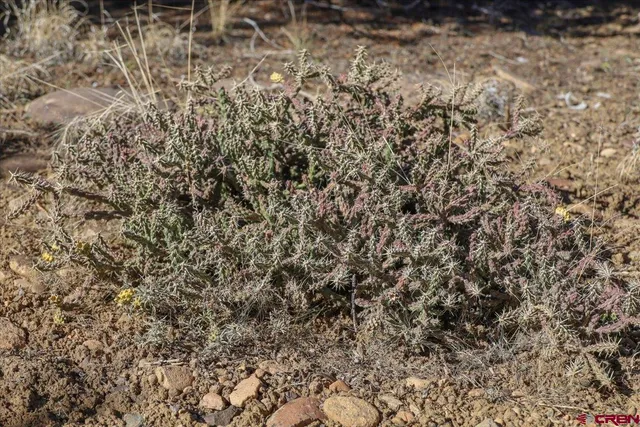 a view of city and mountain