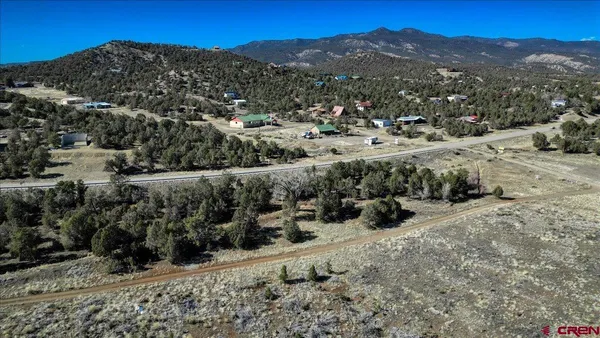 a view of a forest with mountains in the background