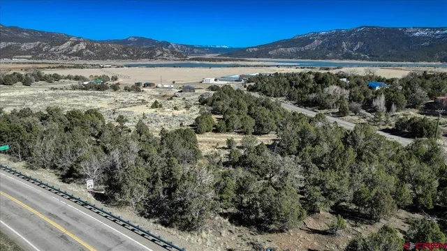 a view of a forest with mountains in the background