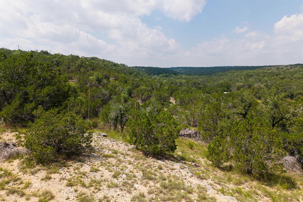 121 Spring Cove Dripping Springs, TX 78620 - Photo 37 of 40