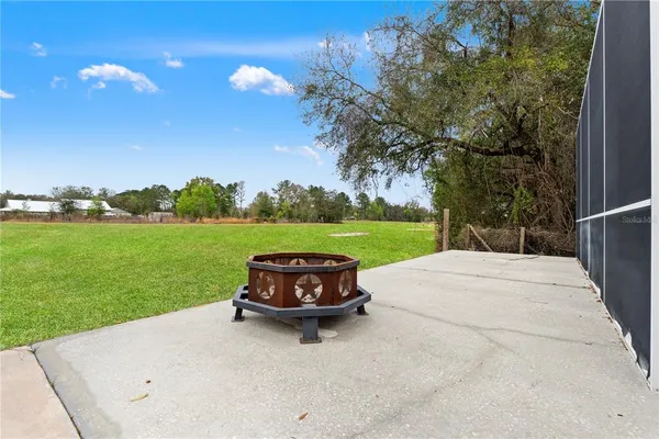 a lawn chairs sitting on a park with large trees