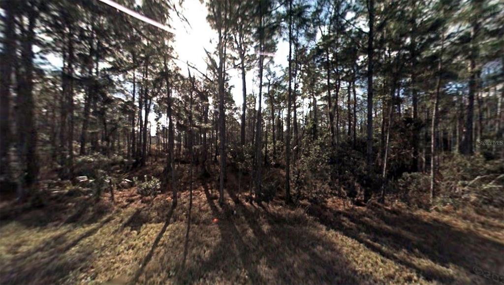 4 Lleberry Path Palm Coast, FL 32164 - Photo 1 of 1 Street View