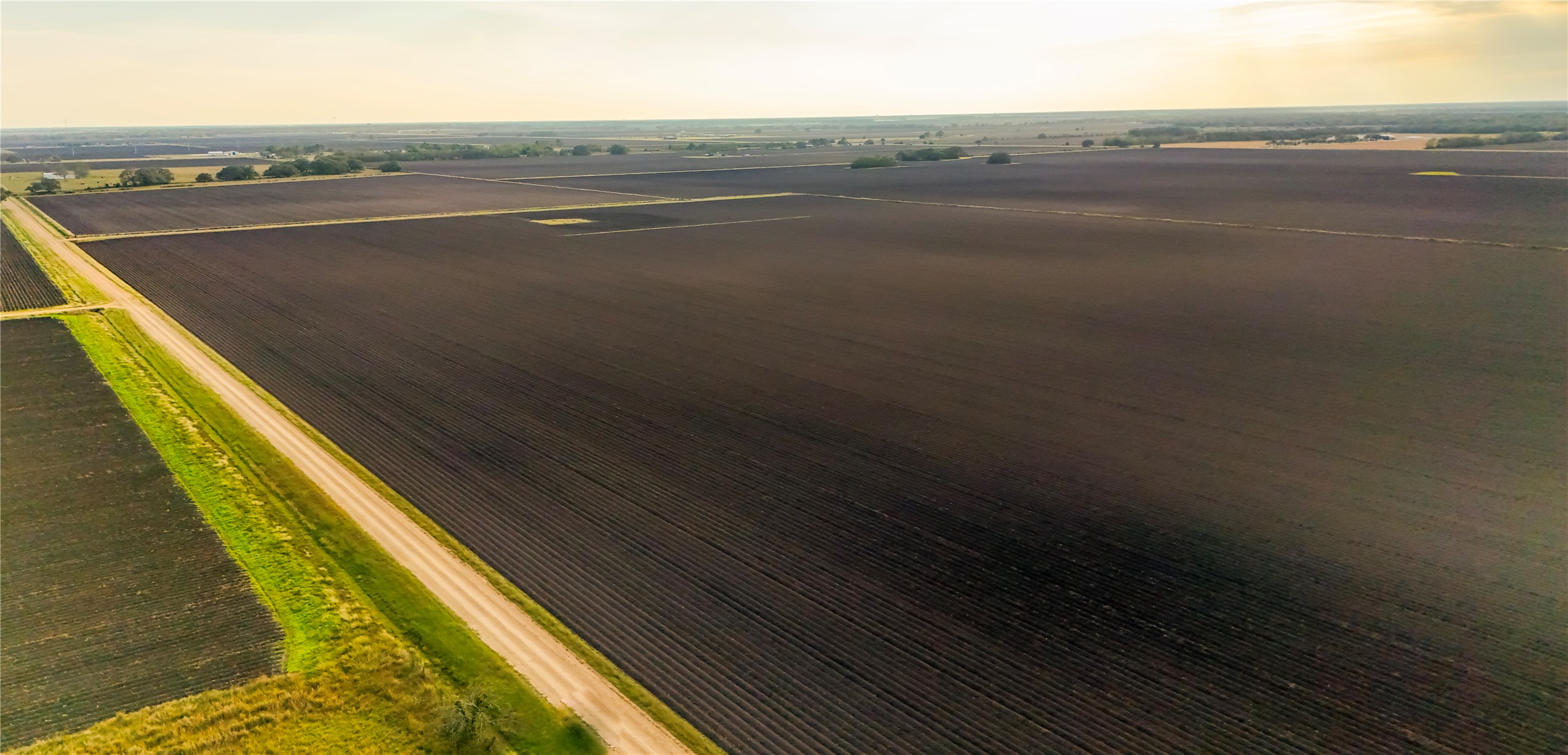 335 Rd Louise Tx 77455 Road El Campo, TX 77437 - Photo 15 of 19