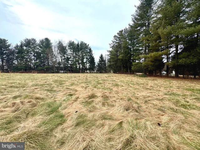 a view of a yard with a trees