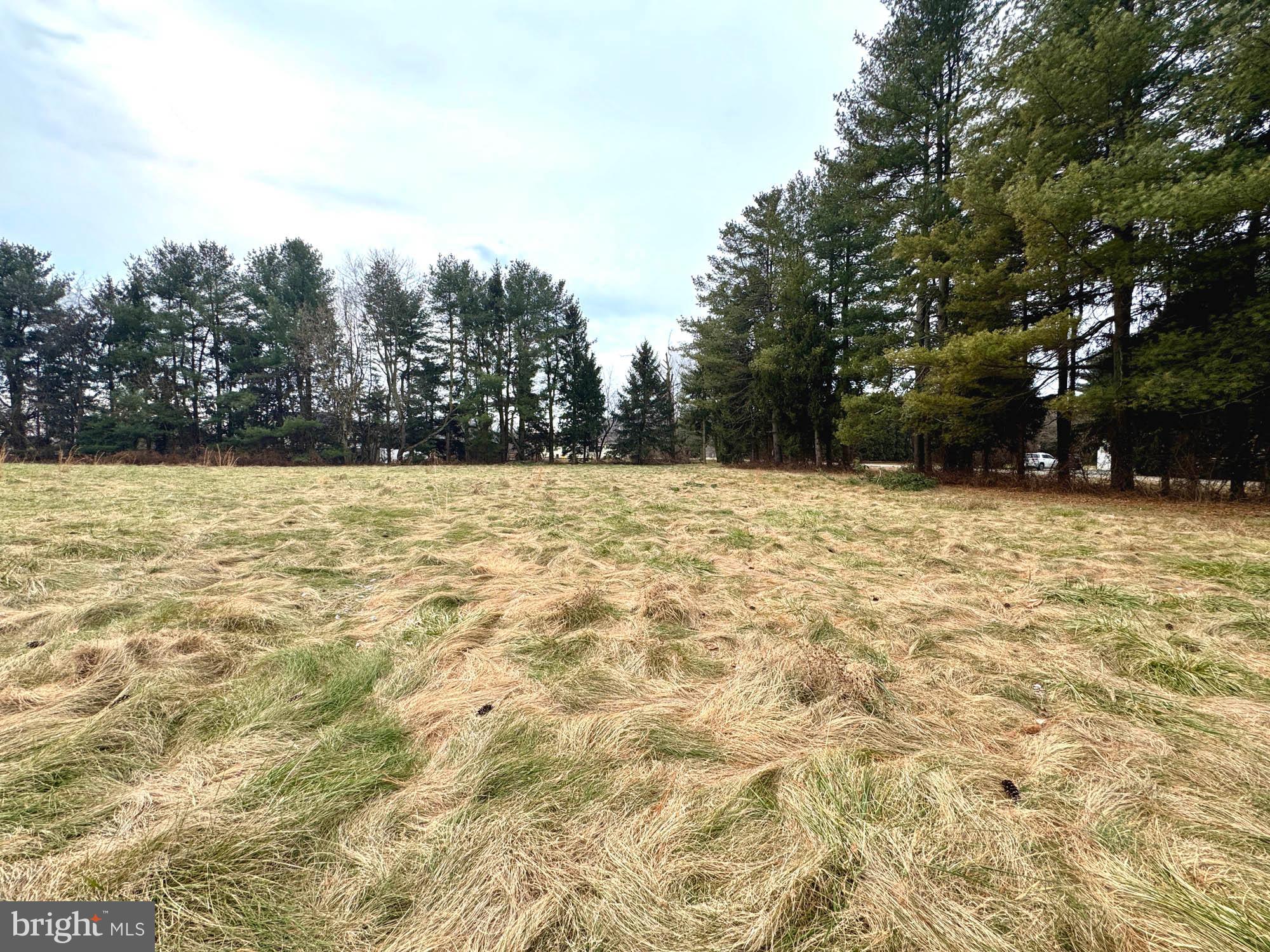 38 Groff Farm Road Conowingo, MD 21918 - Photo 17 of 30 a view of a yard with a trees