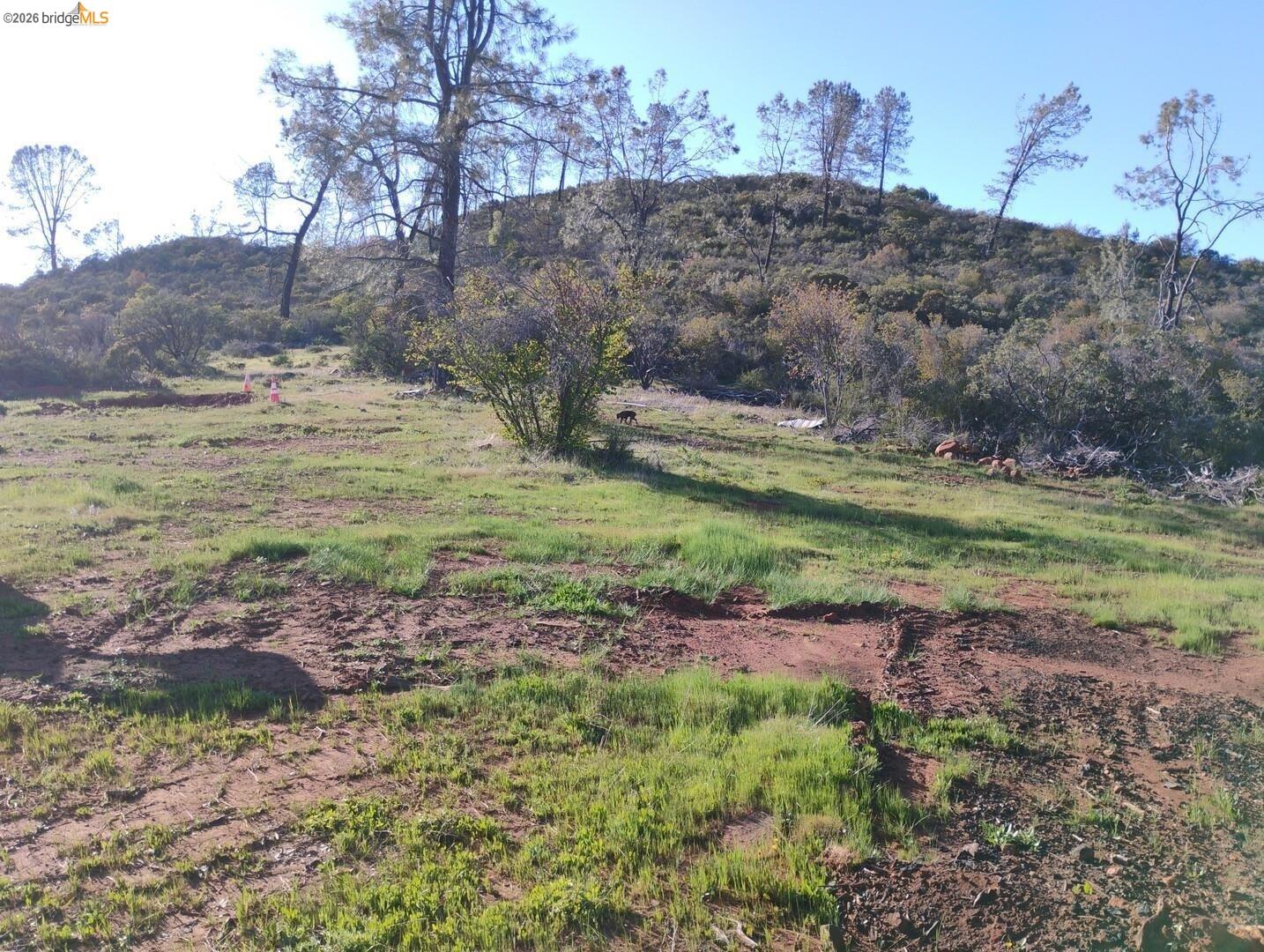 4083 Green Valley Road Pollock Pines, CA 95726 - Photo 4 of 7 a backyard of a house with lots of green space