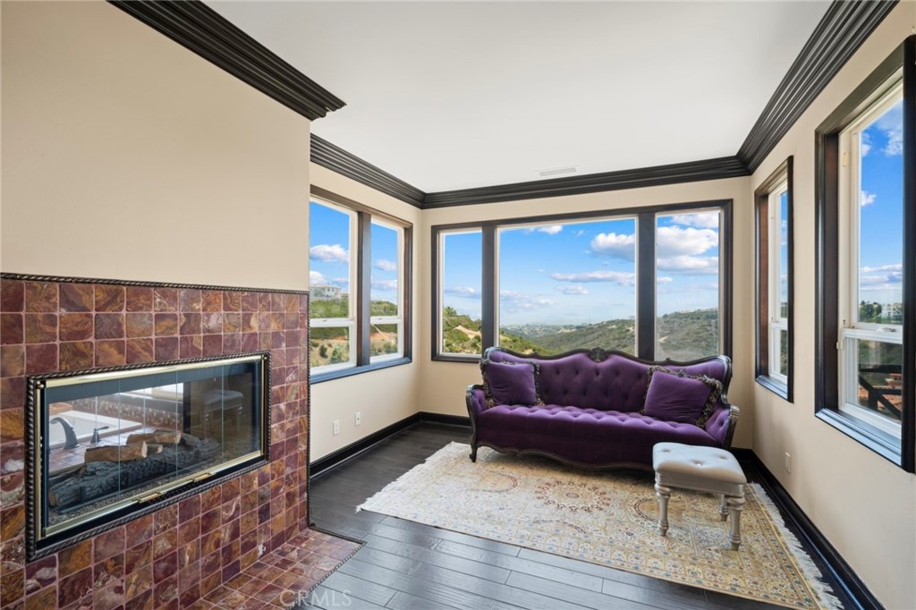 35 Silver Pine Drive Newport Coast, CA 92657 - Photo 20 of 31 a living room with furniture and a fireplace