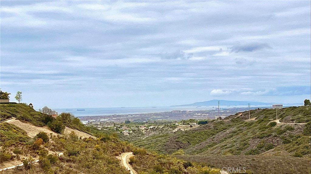 35 Silver Pine Drive Newport Coast, CA 92657 - Photo 2 of 31