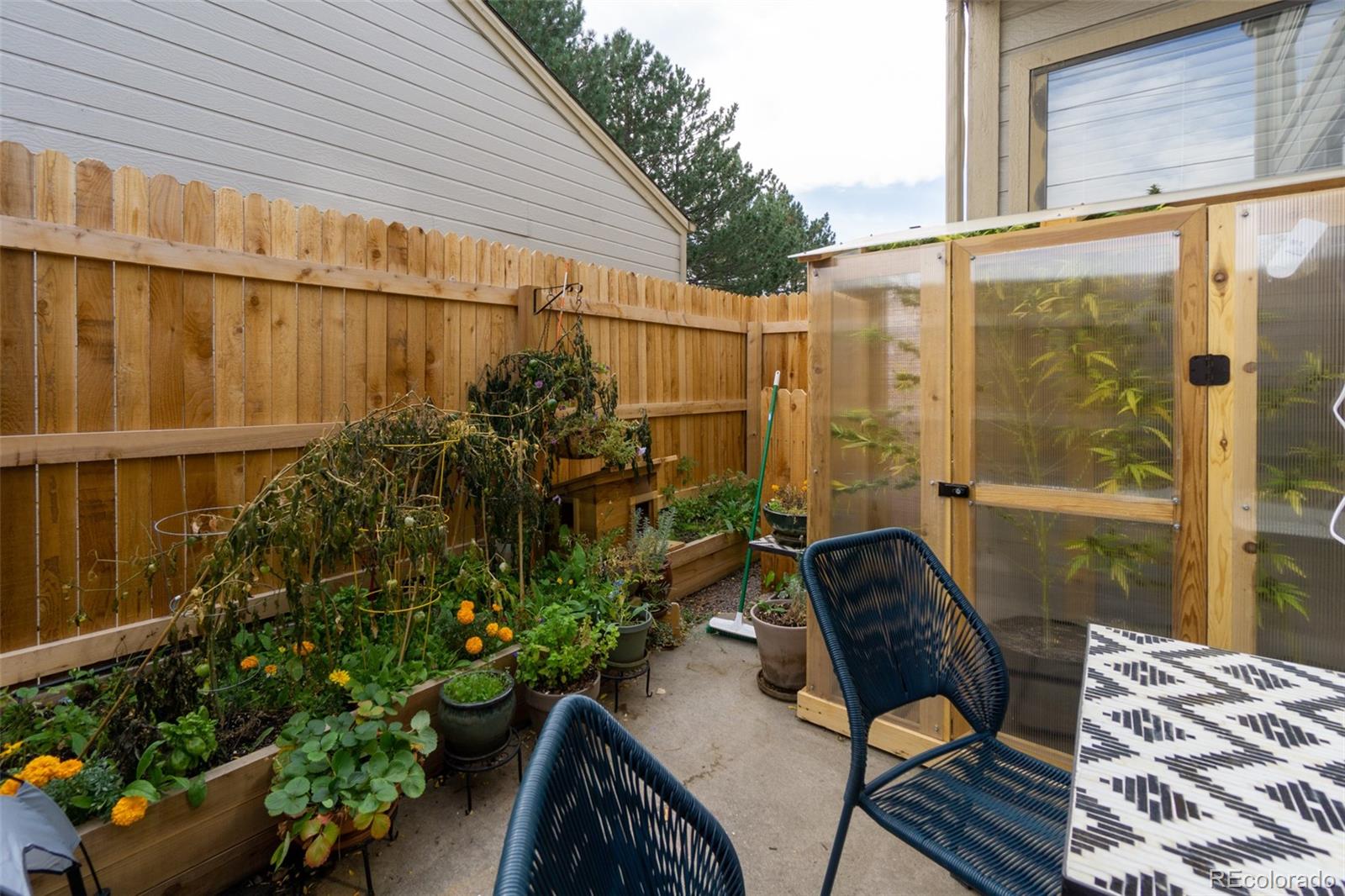 5036 Buckingham Road Boulder, CO 80301 - Photo 20 of 25 Gallery Image 20