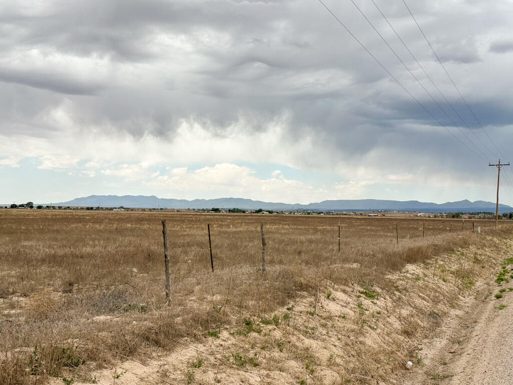 Ice Plant Road McIntosh, NM 87032 - Photo 3 of 24 Gallery Image 3