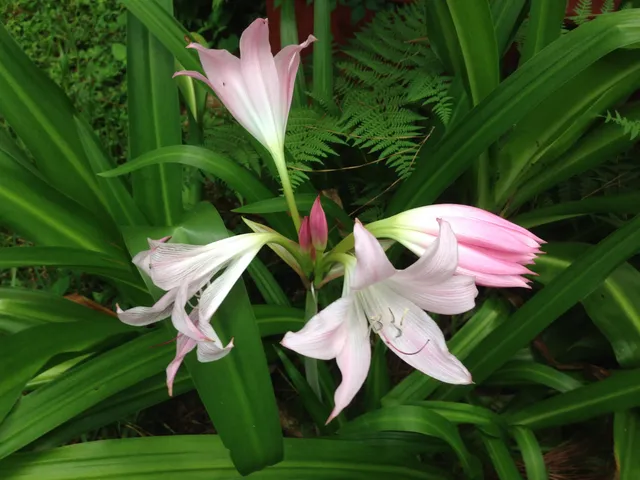 $380,000 | 240 Sturgeon Drive, Tallahassee, FL 32312