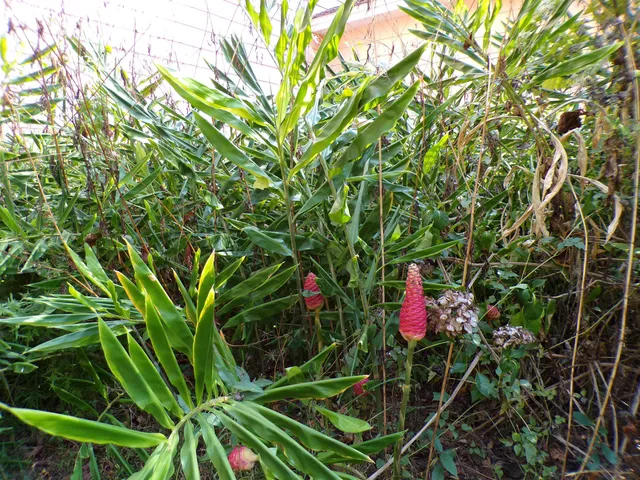 $380,000 | 240 Sturgeon Drive, Tallahassee, FL 32312