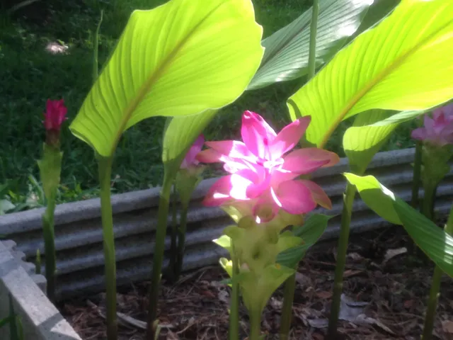 $380,000 | 240 Sturgeon Drive, Tallahassee, FL 32312