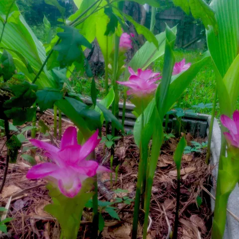 $380,000 | 240 Sturgeon Drive, Tallahassee, FL 32312