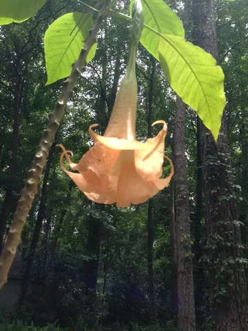 $380,000 | 240 Sturgeon Drive, Tallahassee, FL 32312