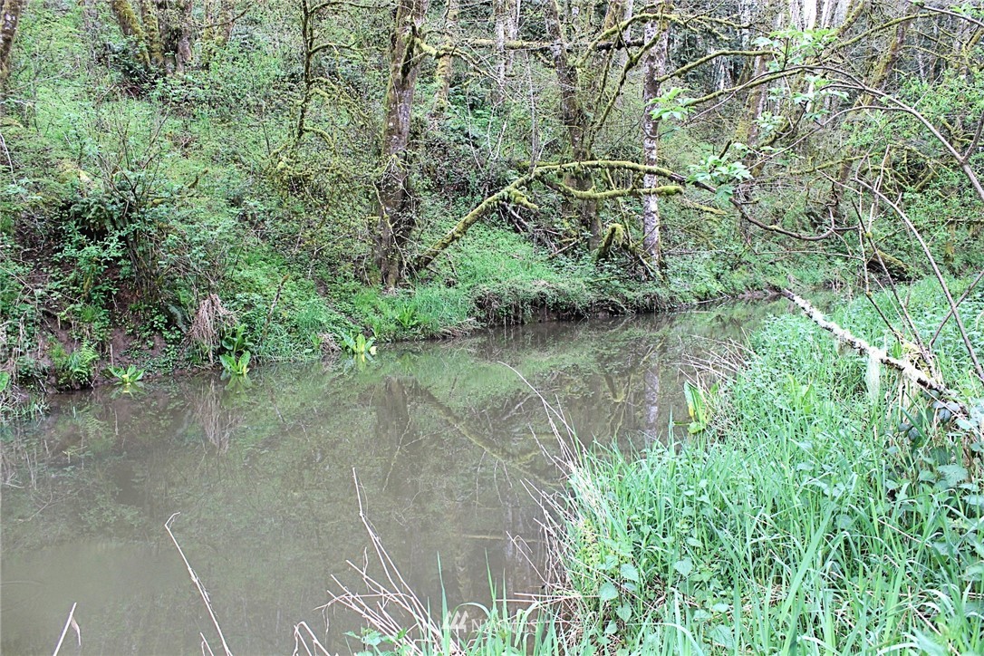 420 Proffitt Road Centralia, WA 98531 - Photo 8 of 20 Gallery Image 8