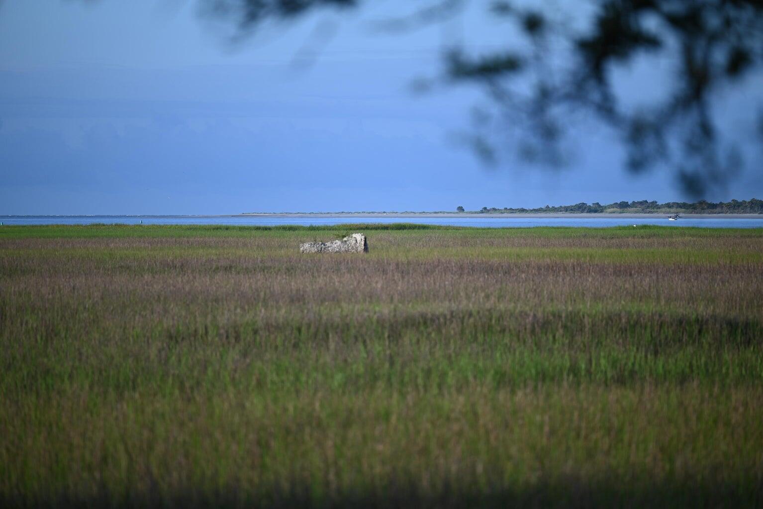 0 Cole Island Charleston, SC 29412 - Photo 2 of 9 20260511201530720781000000-o