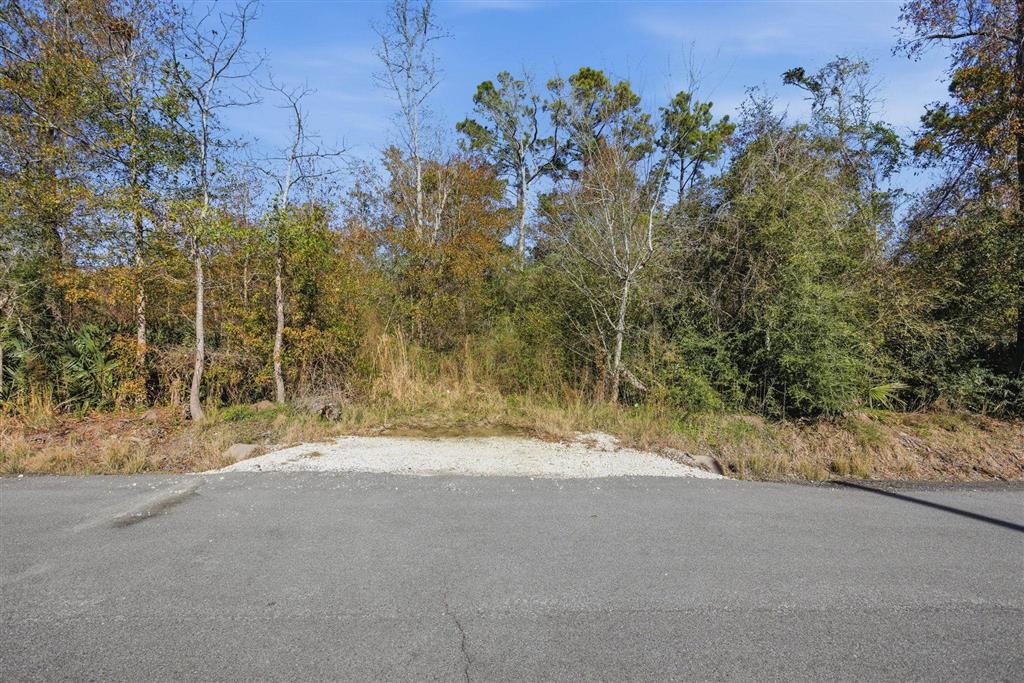 East Leichty Rd Lake East Lake Charles, LA 70611 - Photo 3 of 9