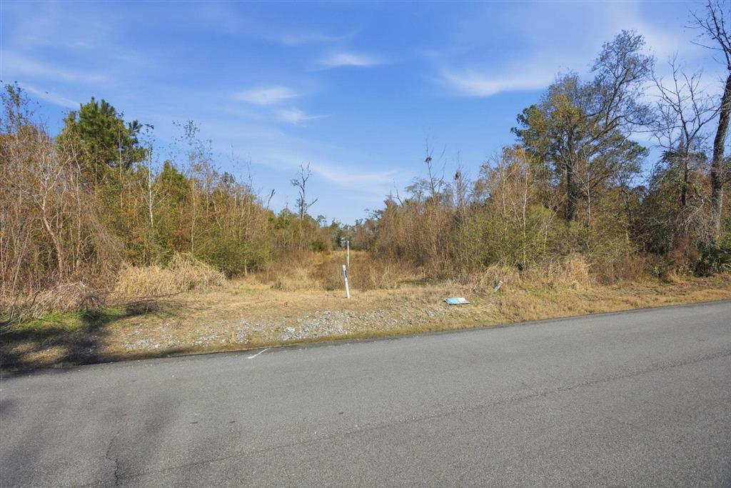 East Leichty Rd Lake East Lake Charles, LA 70611 - Photo 4 of 9