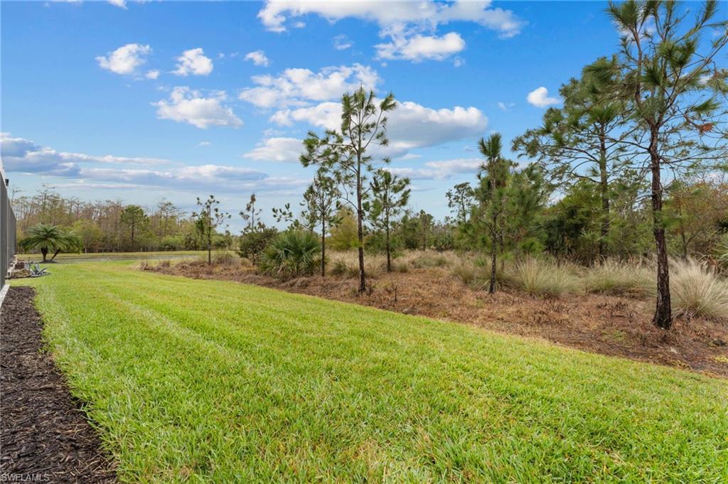14240 Moonlit Way Estero, FL 33928 - Photo 34 of 50 a view of a field with a tree