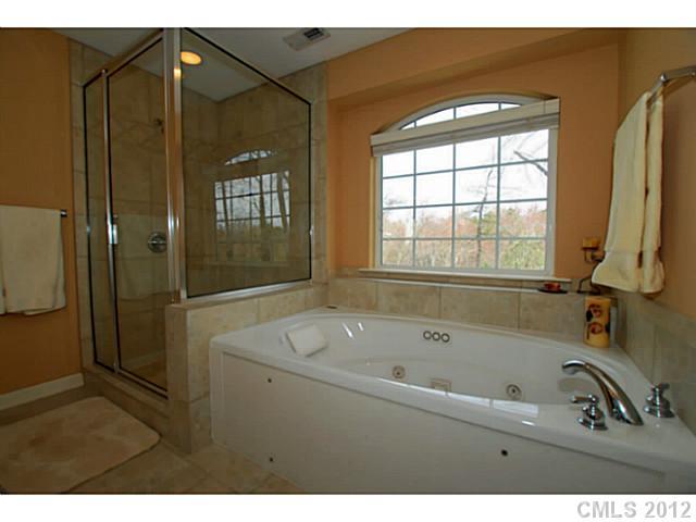 4337 Sunset Rose Drive Fort Mill, SC 29708 - Photo 10 of 16