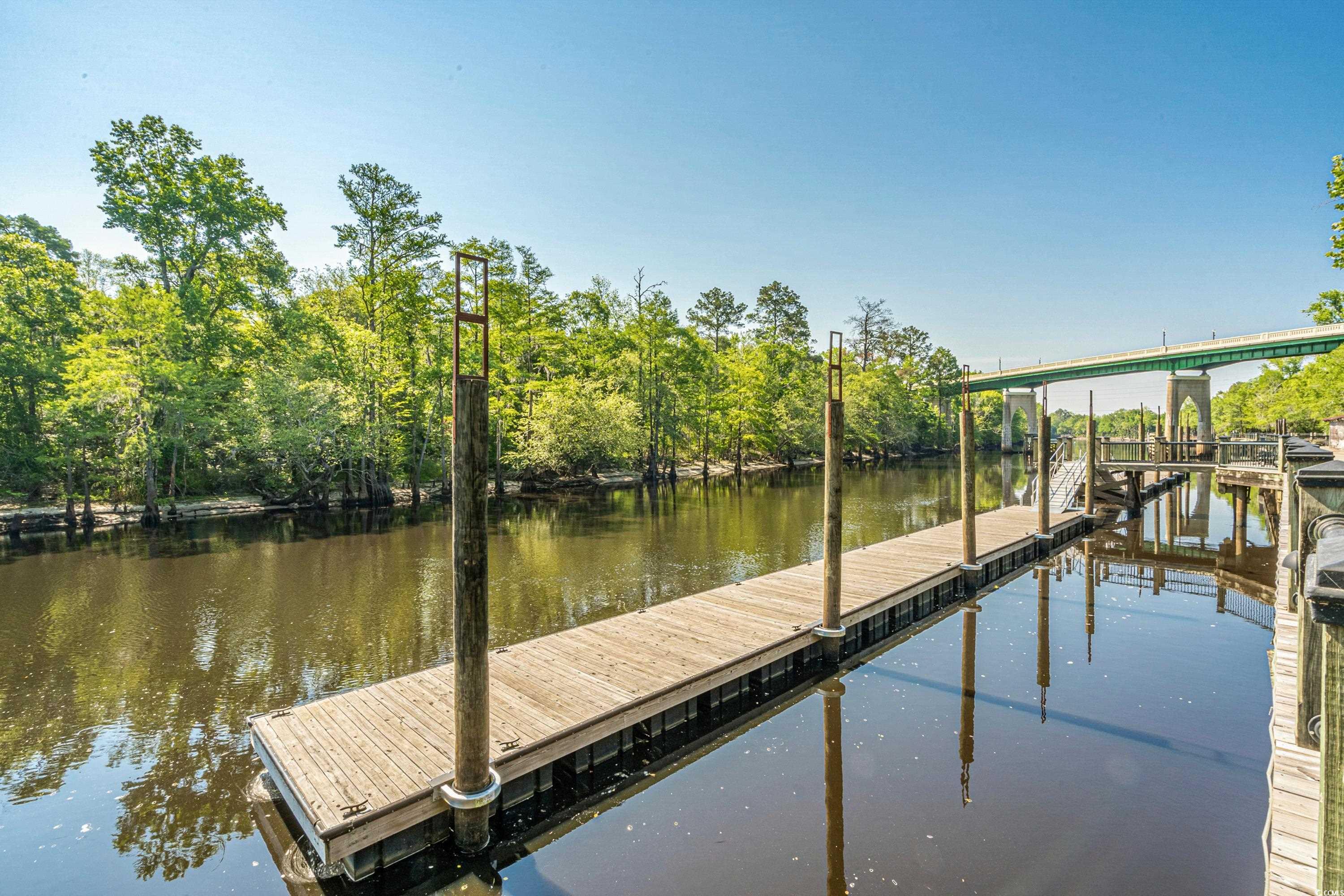 336 Kiskadee Loop, Unit B Conway, SC 29526 - Photo 39 of 40 View of dock featuring a water view