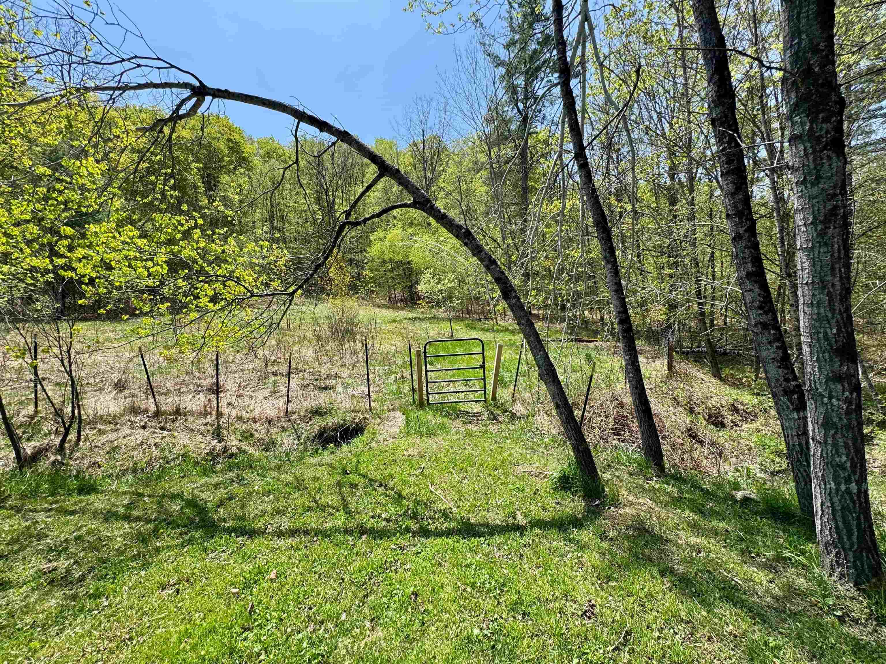 173 Kibling Hill Road Strafford, VT 05072 - Photo 13 of 26