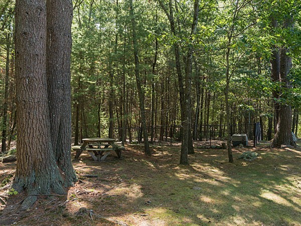 4 Cedar Street Natick, MA 01760 - Photo 21 of 21 a view of outdoor space with deck and trees