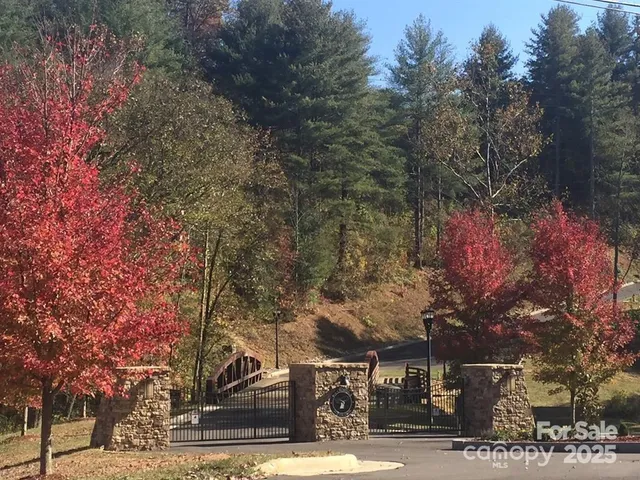 a view of a lake from a yard