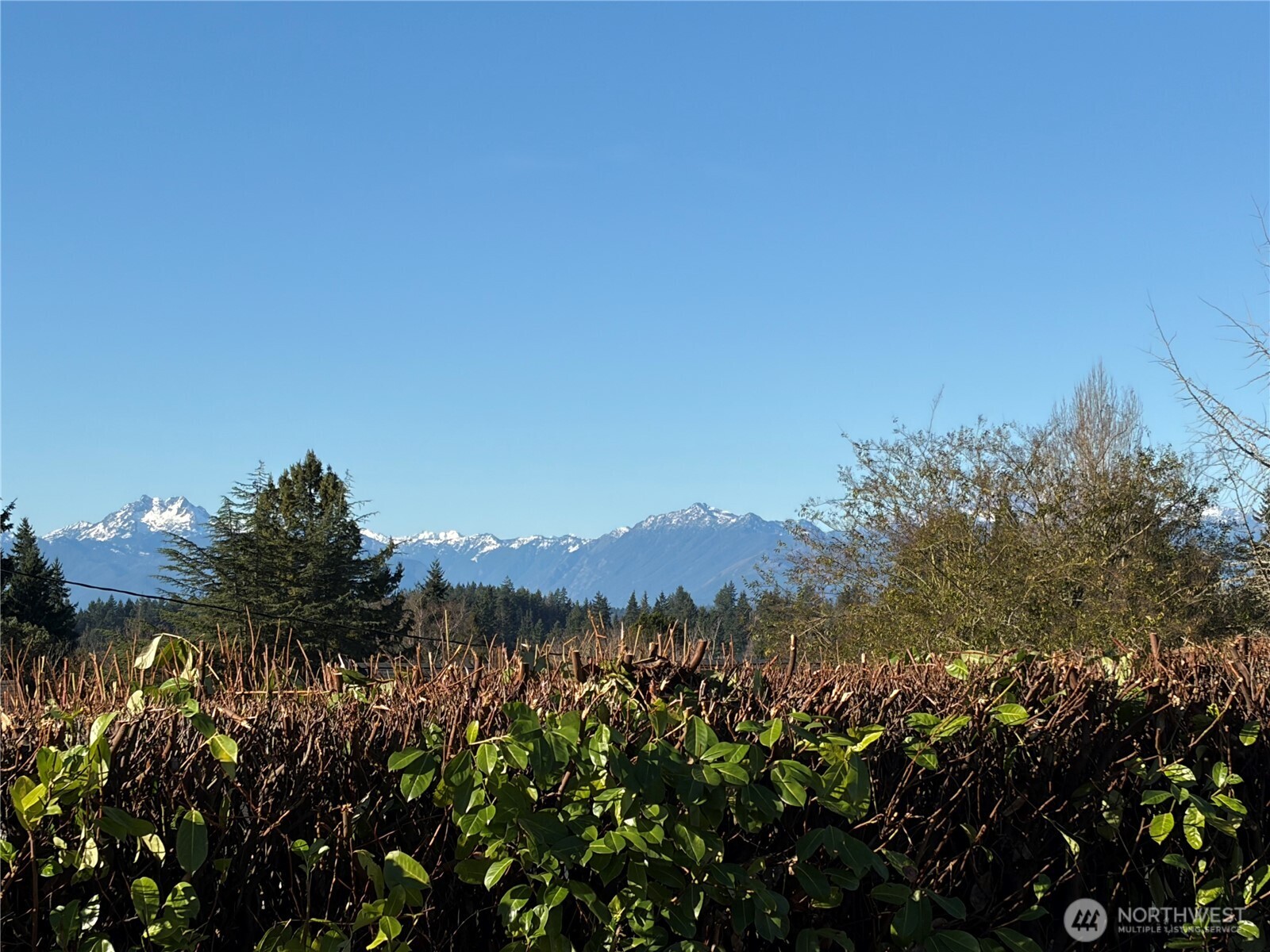 3518 Petersville Road Northeast Bremerton, WA 98310 - Photo 2 of 32