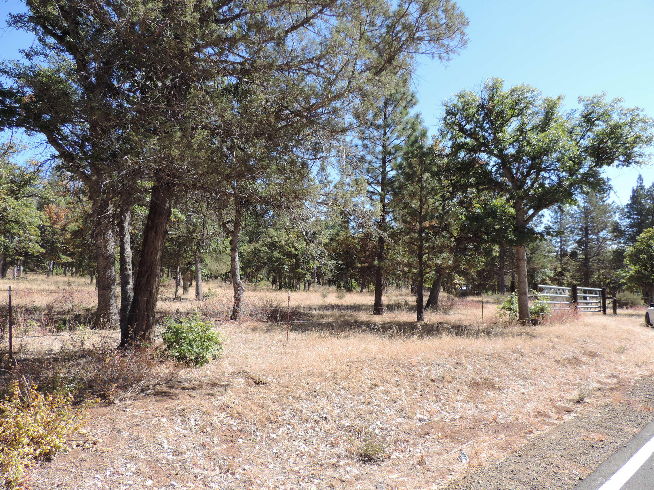 Lot 1 Jim Day Road McArthur, CA 96056 - Photo 9 of 15 a view of covered with snow
