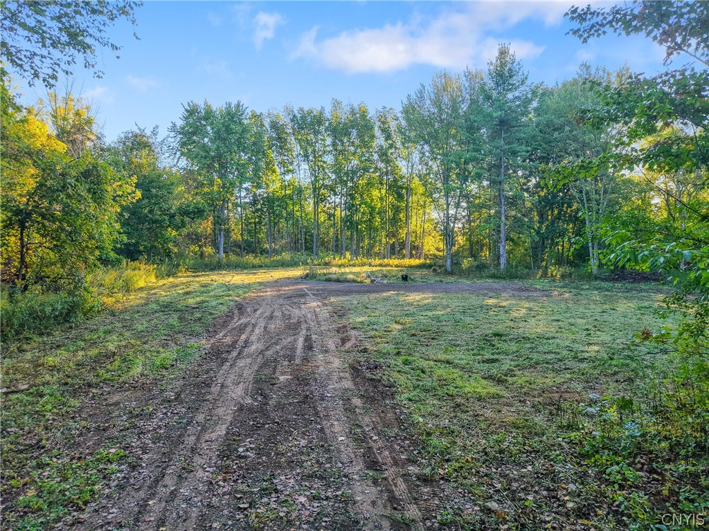 8670 Lewis Point Road Lenox, NY 13032 - Photo 4 of 14 Gallery Image 4